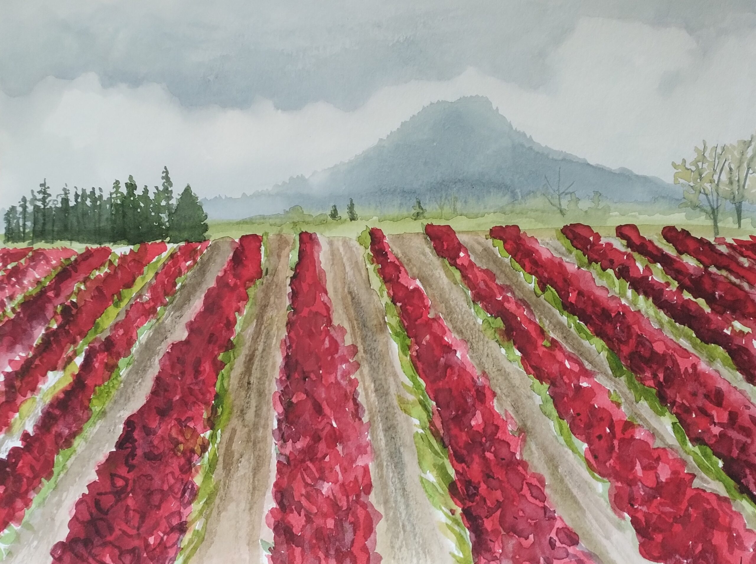 Rows of Red